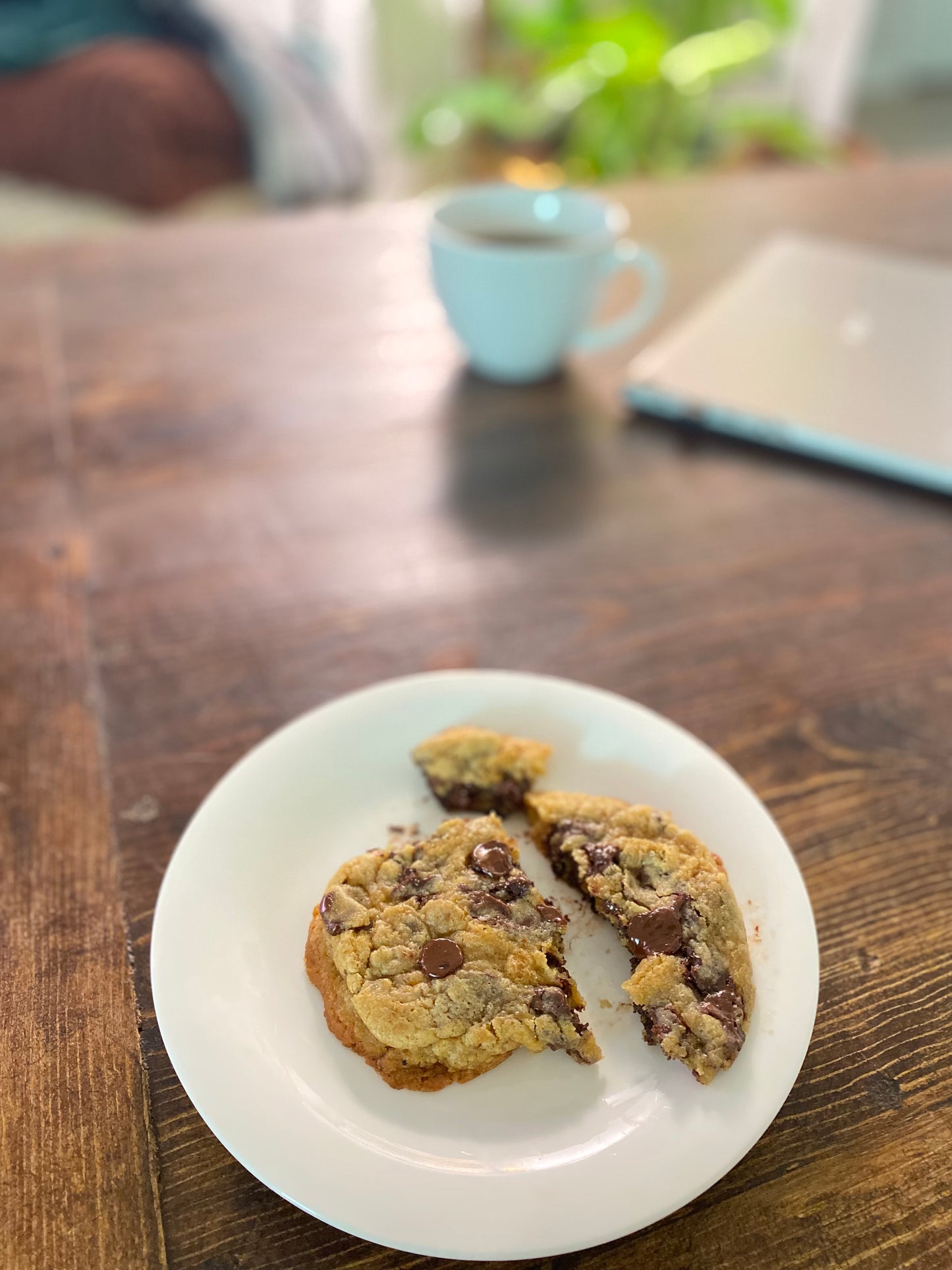 Chocolate Chip Sourdough Cookie