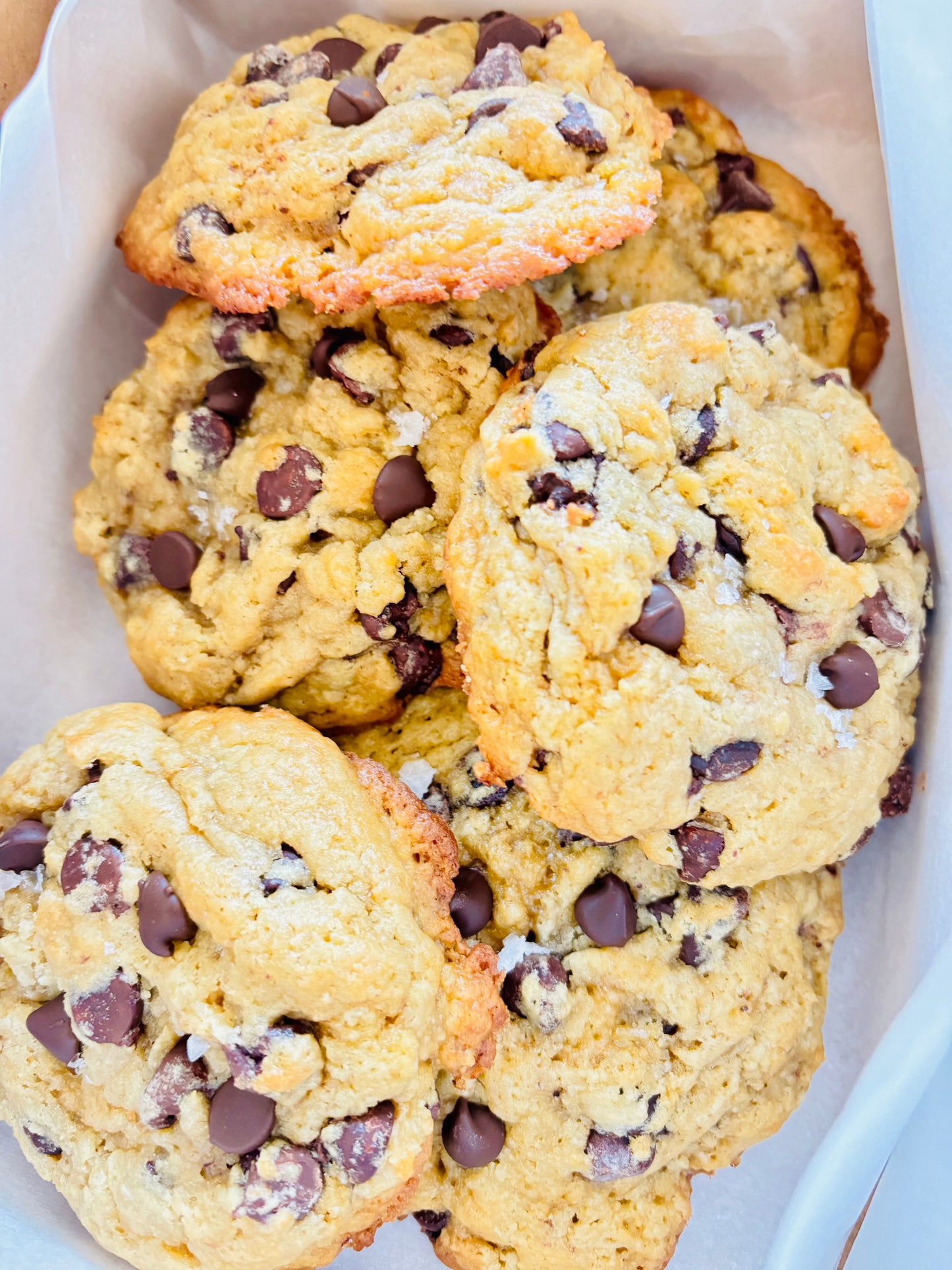 Chocolate Chip Sourdough Cookie