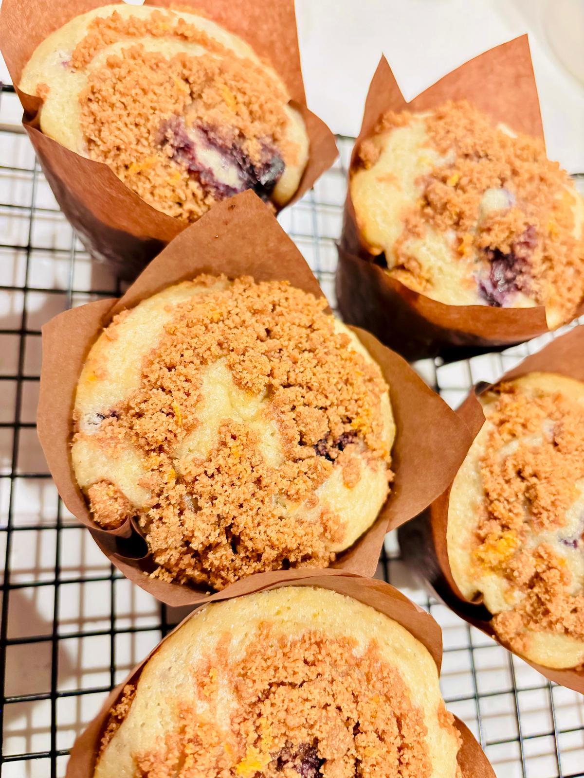 Sourdough Muffin — Lemon Blueberry
