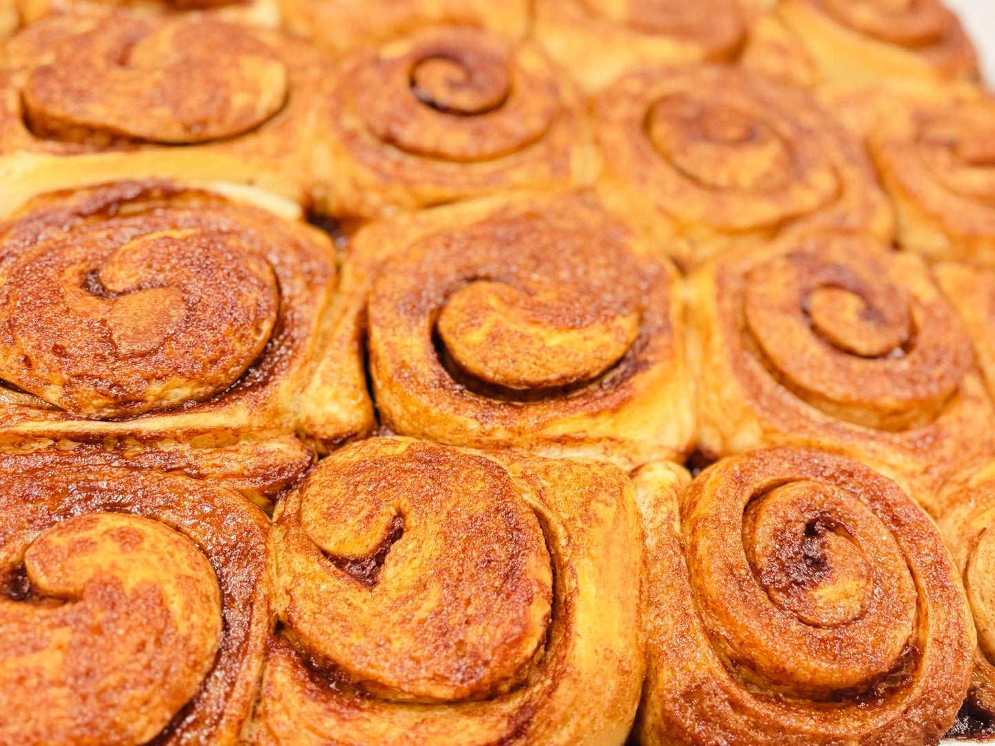 Sourdough Cinnamon Rolls — Friday Batch
