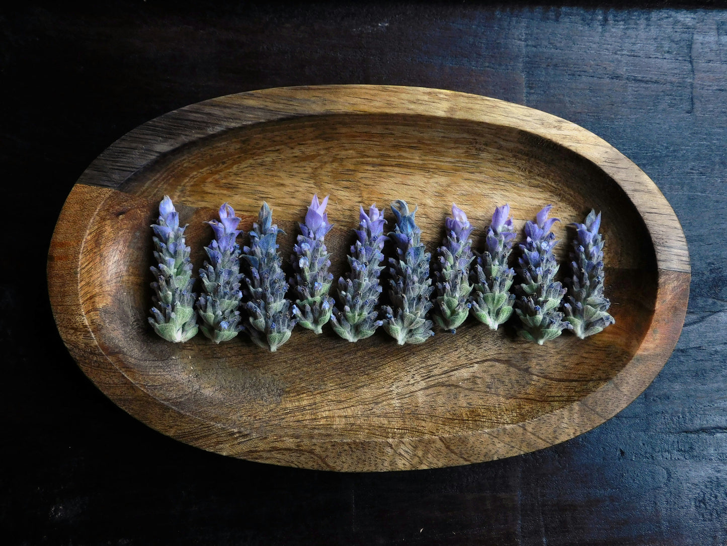 Sourdough Muffin — Lemon Lavender
