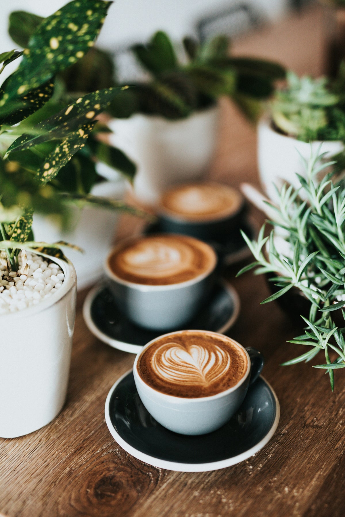 Sept 30 • Woodsy Floral & Coffee Co., Midlothian